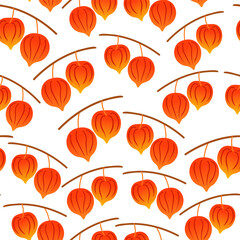 color isolated seamless pattern physalis in flat shape style in vector. template for backdrop textile wallpaper wrapping background print decor design