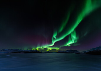 The aurora paints the sky with vibrant hues.