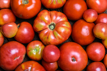 Bio tomatoes on farmer market. Farm fresh organic tomatoes background.
