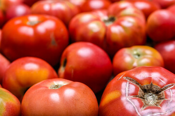 Homegrown red tomatoes background. Bio organic vegetables on farmer market. Farm fresh vegetable background. Food concept.