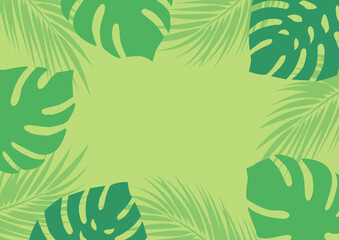 モンステラのフレーム01