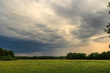 A meadow at the edge of the forest with dramatic cloudy sky in thunderstorm mood