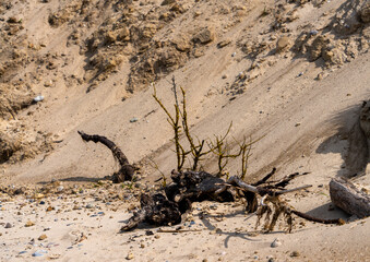 am Strand von Alt-Reddevitz, Rügen, Mecklenburg-Vorpommern, Deutschland