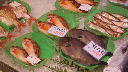 市場の魚