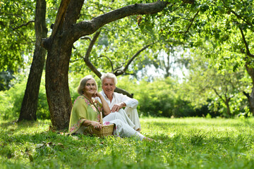 Fototapeta premium Portrait of a beautiful elderly couple in summer park