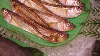 市場の魚