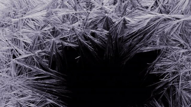 Defrosting of a frosty pattern on a black background