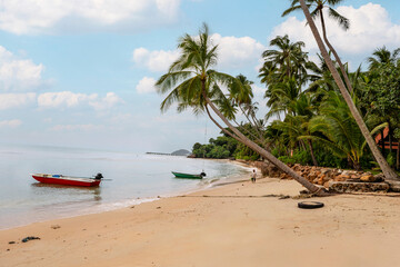 Beautiful tropical palm beach on Koh Samui Island, Thailand