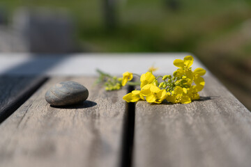 flower and rock on wooden background