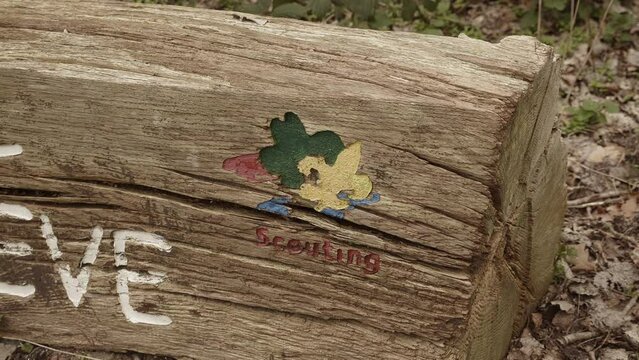 Fleur de lys on a log at Gilwell Adas Hoeve camping