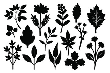 Doodle Herbs Vectors illustration