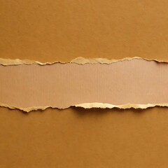 Background torn paper texture
