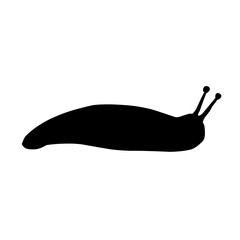 Slug Snail Silhouette 