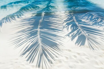 tropical serenity abstract shadow palm leaves on pristine white sand beach idyllic summer vacation background