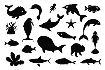 Fauna And Flora Of The Ocean Vectors