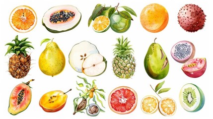 A set of watercolors depicting various exotic fruits, bringing tropical flavors to life, isolated white background