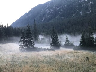 Zakopane Tatras National park mouuntains fog forest landscape