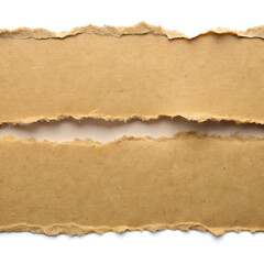 Background torn paper texture
