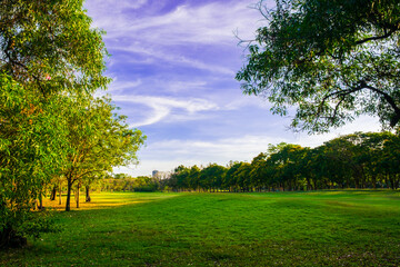 Fototapeta premium Green meadow field in city park blue sky