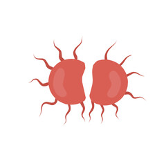Bacteria Gonorrhea Vector Illustration 