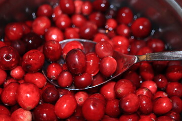 Homemade cranberry sauce