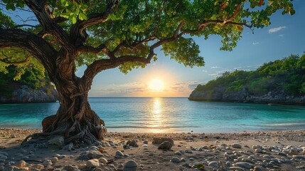 A beautiful seascape with a large tree in the foreground and a bright shining sun over the ocean