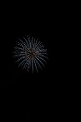 Fototapeta premium 打上げ花火