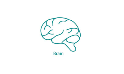 Line Art Brain vector Icon