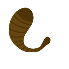 Leech Vector Illustration 