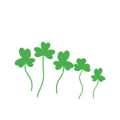 Shamrock Vector Illustration 