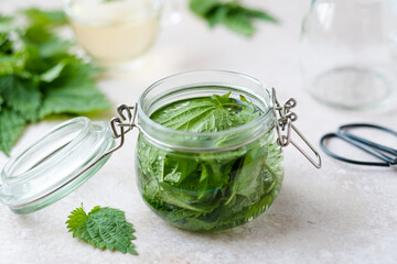 Make herbal remedy nettle tincture. A glass jar with nettle leaves on white table. Weight loss and...