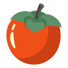Persimmon isolated on white background, vector illustration