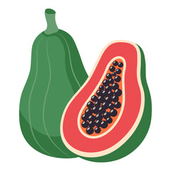 Papaya isolated on white background. Hand drawn illustration.
