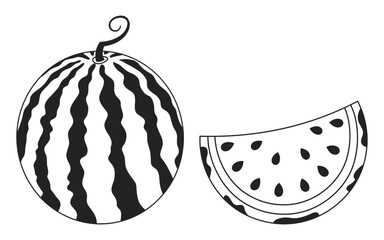 Watermelon isolated on white background. Hand drawn illustration.