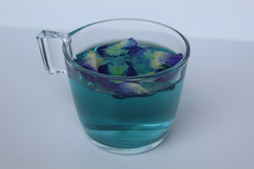 Brewed fresh butterfly pea flower, or Clitoria ternatea, or bunga telang. Inside transparent glass, isolated on white background