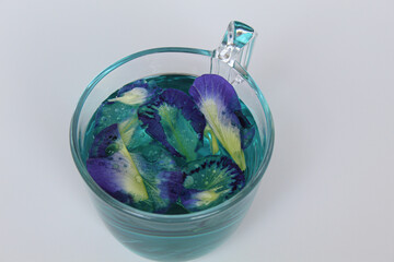 Brewed fresh butterfly pea flower, or Clitoria ternatea, or bunga telang. Inside transparent glass, isolated on white background