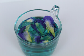 Brewed fresh butterfly pea flower, or Clitoria ternatea, or bunga telang. Inside transparent glass, isolated on white background