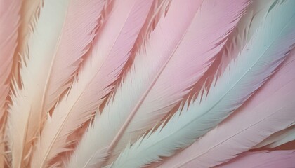 pastel colour feather abstract background