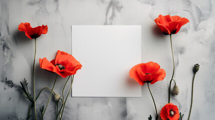 Red poppies framing a blank white card on a textured grey background