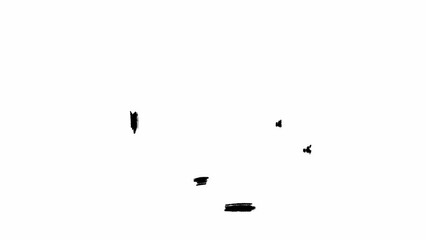 Pushing the button escape hand drawn in black color in scribble loop animation. Stop motion of the picture of the icon meaning the end or the stop of the work on computers and laptops. Esc key symbol.