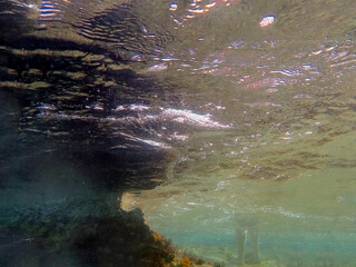 Vista subacquea 2135