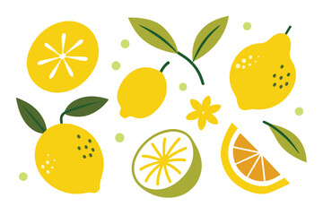 Set of lemons in doodle style. Collection of lemons on a branch, a slice of a lemon, half a lemon. Vector