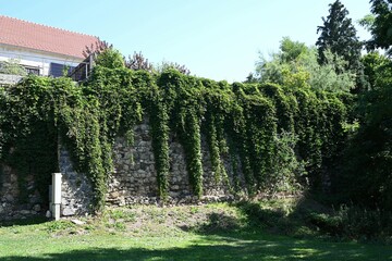 Stadtbefestigung von Drosendorf, Österreich, 07.09.2023