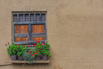 window with flowers