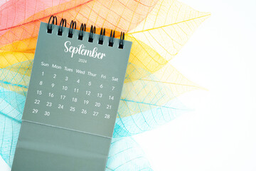 September 2024 monthly desk calendar and fiber structure of dry leaves texture, skeleton leaf.