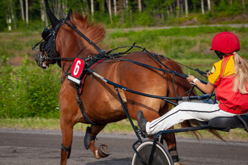 Equestrian sport. Harness racing. Horse race at hippodrome. Horses compete in harness racing.