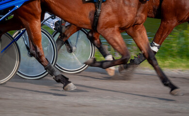 Equestrian sport. Harness racing. Horse race at hippodrome. Horses compete in harness racing.