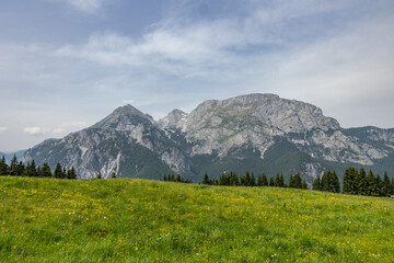 visuale panoramica su un ambiente naturale di montagna che si estende da un prato verde, ricco di fiori gialli, fino ad una catena di montagne distante, sotto un cielo parzialmente nuvoloso, in estate