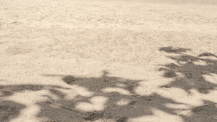 Shade tree on sand. Shadow of branch leaves. Tropical beach background.