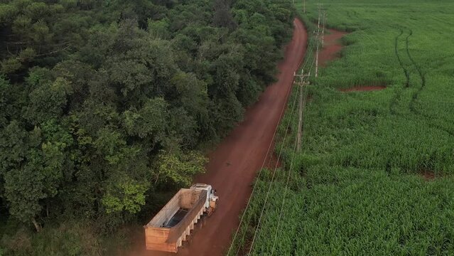 Lavoura de milho no paran&aacute; com drone